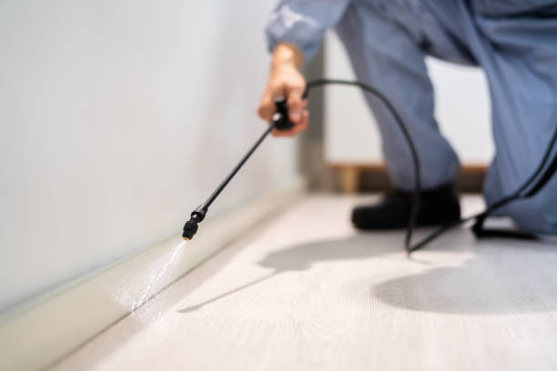 Professional exterminator conducting IPM assessment in Denmark